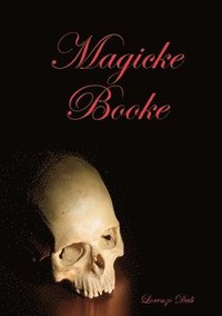bokomslag Magicke Booke