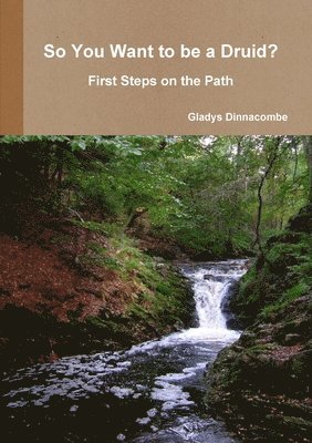 Gladys Dinnacombe - So You Want to be a Druid? - First Steps on the Path, Häftad