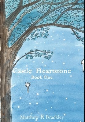 bokomslag Castle Heartstone Book One