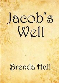 bokomslag Jacob's Well
