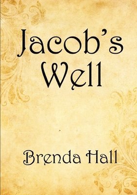 bokomslag Jacob's Well