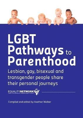 LGBT Pathways to Parenthood: Lesbian, Gay, Bisexual and Transgender People Share Their Personal Journeys 1