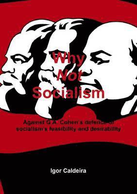 Igor Caldeira - Why Not Socialism - Against G.A. Cohen's defence of socialism's feasibility and desirability, Häftad