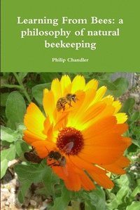 bokomslag Learning From Bees