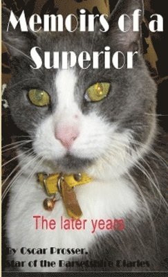 Memoirs of A Superior