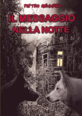 Pietro Gennaro - Messaggio Nella Notte, Häftad