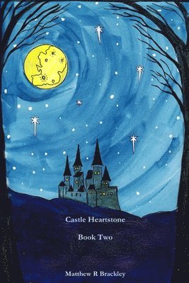 bokomslag Castle Heartstone Book Two