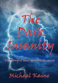 bokomslag Dark Insanity