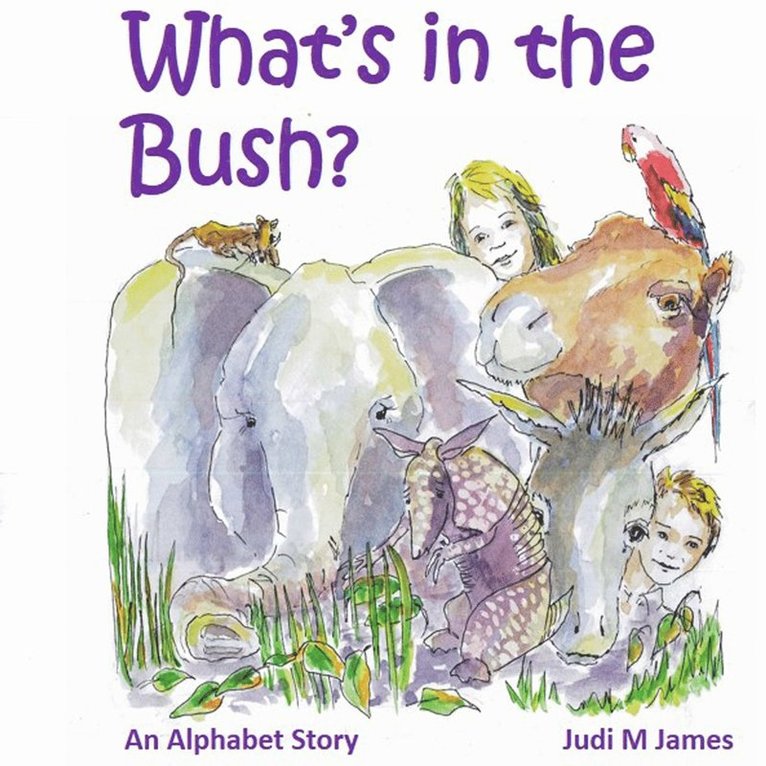 What is in the Bush?