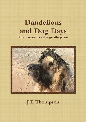 bokomslag Dandelions and Dog Days - The memoirs of a gentle giant