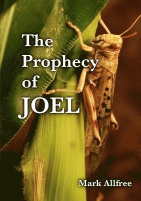 The Prophecy of Joel 1