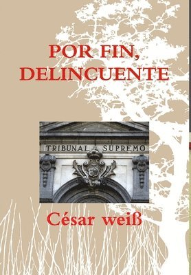 bokomslag Por Fin, Delincuente