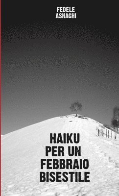 bokomslag Haiku Per Un Febbraio Bisestile