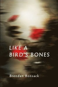bokomslag Like a Bird's Bones