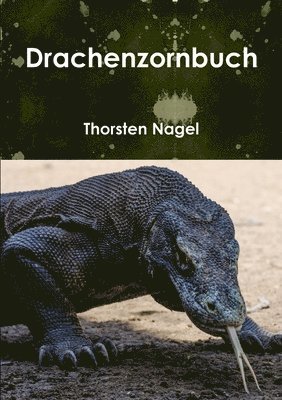 bokomslag Drachenzornbuch