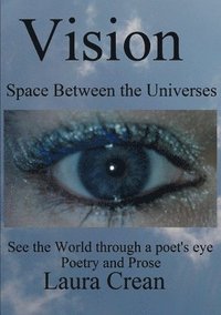 bokomslag Vision - Space Between the Universes