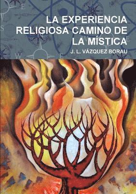 bokomslag Experiencia Religiosa Camino De La Mistica