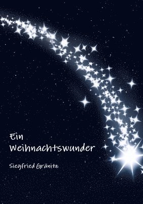 bokomslag Ein Weihnachtswunder