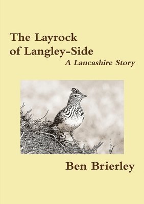 bokomslag Layrock of Langley-Side