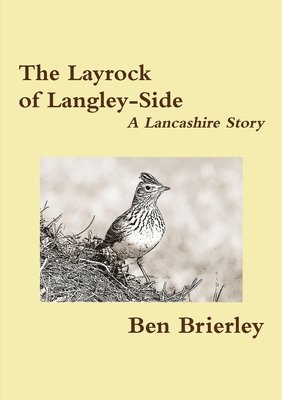 The Layrock of Langley-Side 1
