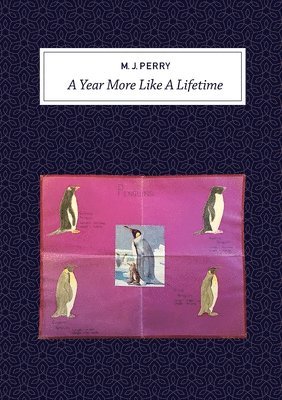 Michael Perry - Year More Like a Lifetime, Häftad
