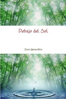 bokomslag Debajo del Sol