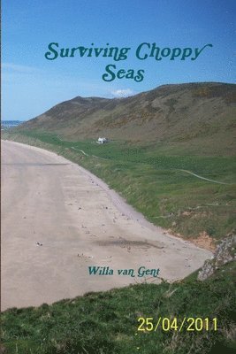 bokomslag Surviving Choppy Seas