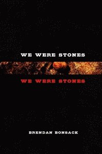 bokomslag We Were Stones We Were Stones