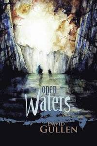 bokomslag Open Waters