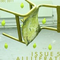 bokomslag Issue 5 / December 2011