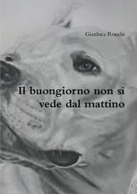 bokomslag Buongiorno Non Si Vede Dal Mattino