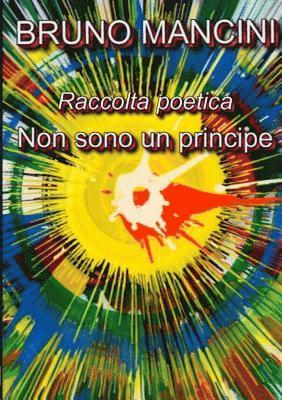 bokomslag Non Sono Un Principe