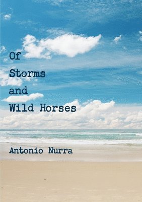 bokomslag Of Storms and Wild Horses