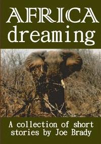bokomslag Africa Dreaming
