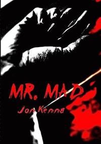 bokomslag Mr Mad