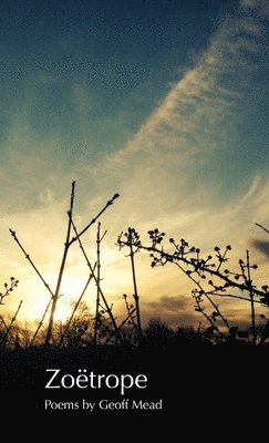 Geoff Mead - Zoetrope, Häftad