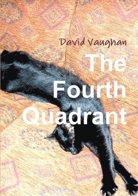 David Vaughan - Fourth Quadrant, Häftad