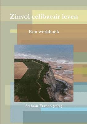 bokomslag Zinvol celibatair leven