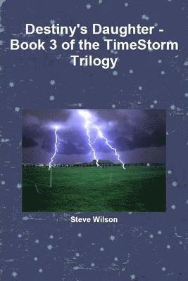 Steve Wilson - Destiny's Daughter - The Timestorm Trilogy Book 3, Häftad