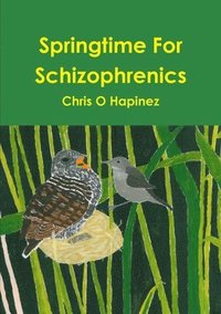 bokomslag Springtime For Schizophrenics