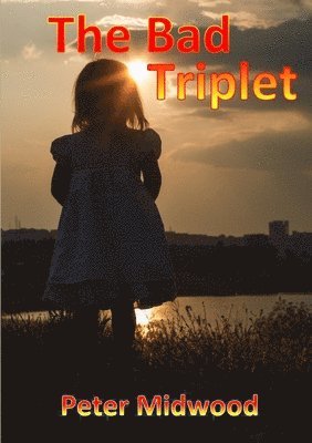 bokomslag Bad Triplet