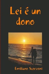 bokomslag Lei é un dono