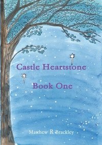 bokomslag Castle Heartstone Book One