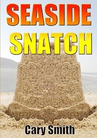 bokomslag Seaside Snatch