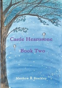 bokomslag Castle Heartstone Book Two