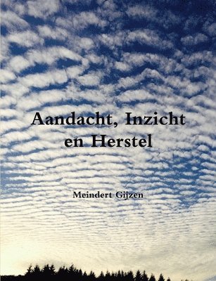 bokomslag Aandacht, Inzicht en Herstel