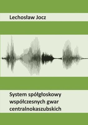 bokomslag System spolgloskowy wspolczesnych gwar centralnokaszubskich