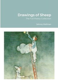 bokomslag Drawings of Sheep