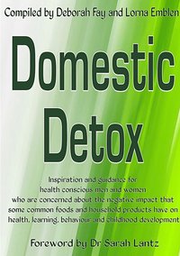 bokomslag Domestic Detox