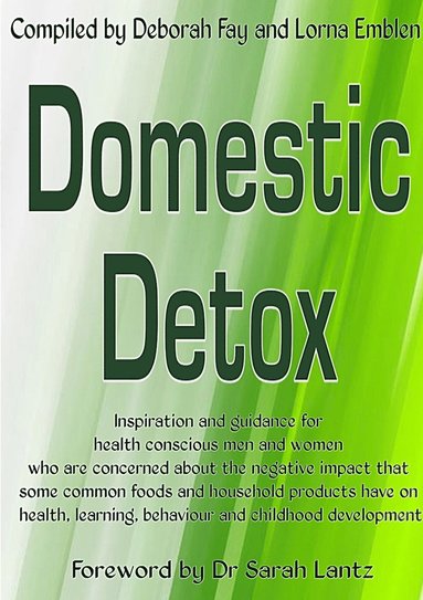 bokomslag Domestic Detox